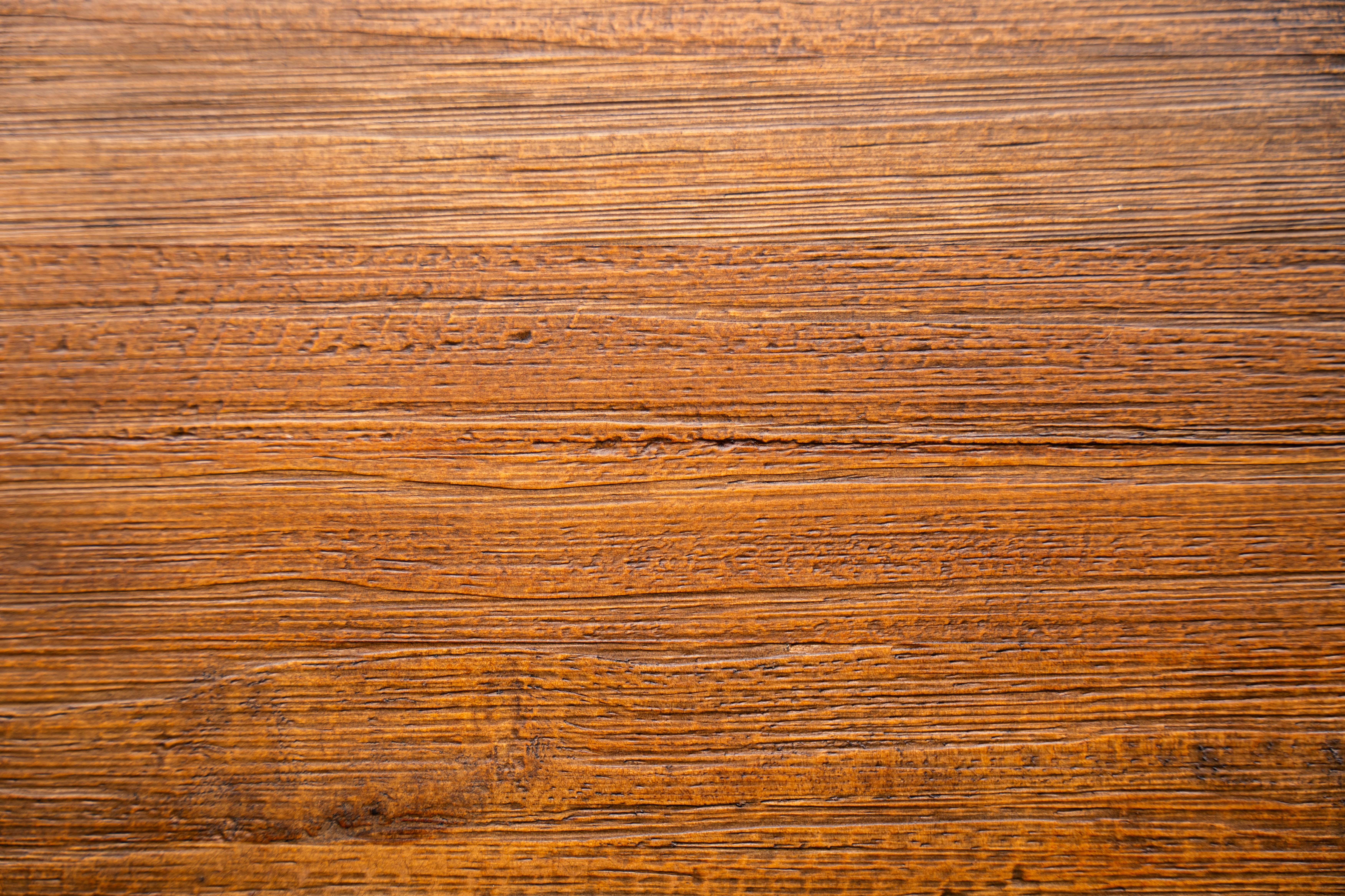 Floresta Sustentável